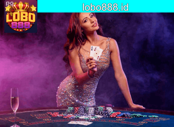 LOBO888